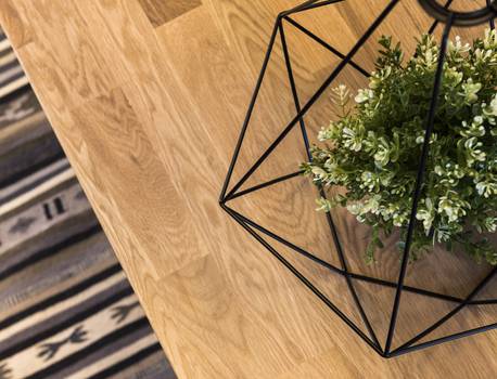 A potted green plant in a geometric black wire frame container on a wooden surface with a striped rug in the background.