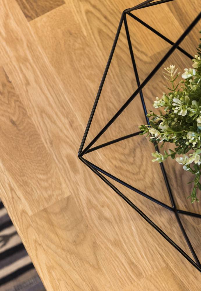 A potted green plant in a geometric black wire frame container on a wooden surface with a striped rug in the background.