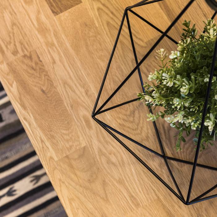 A potted green plant in a geometric black wire frame container on a wooden surface with a striped rug in the background.