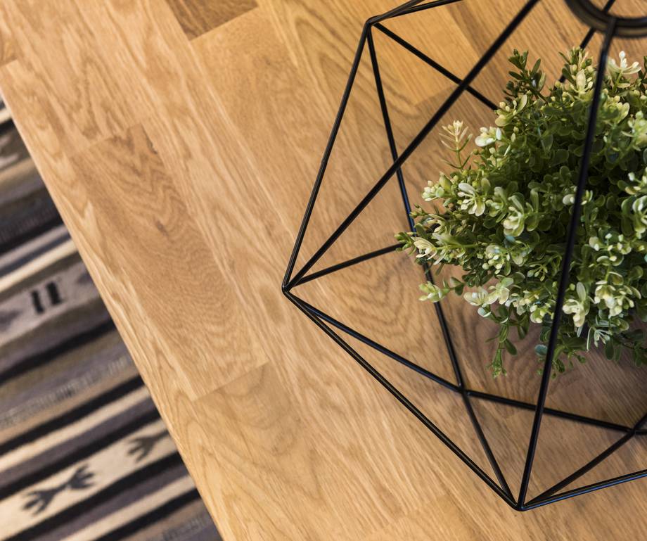 A potted green plant in a geometric black wire frame container on a wooden surface with a striped rug in the background.
