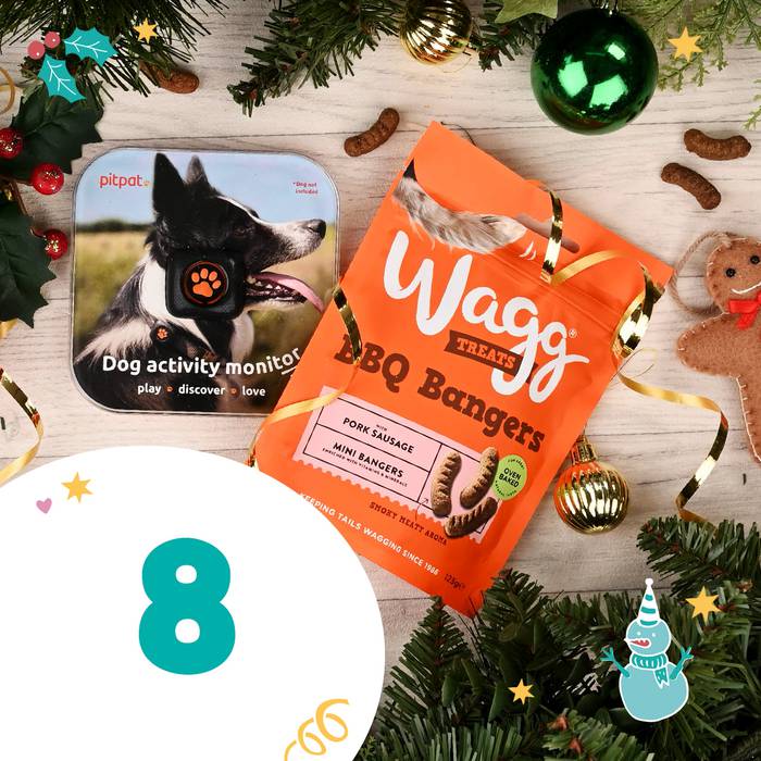 An Instagram post for the 8th day of advent, featuring a competition to win a prize from Wagg pet food