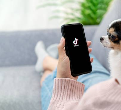 Person sitting on a sofa holding a phone with the TikTok app open, with a small dog looking at the screen in a bright indoor setting.