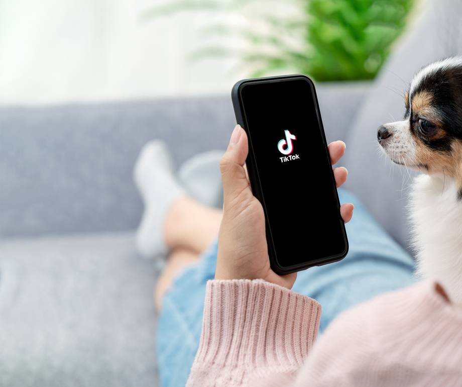 Person sitting on a sofa holding a phone with the TikTok app open, with a small dog looking at the screen in a bright indoor setting.