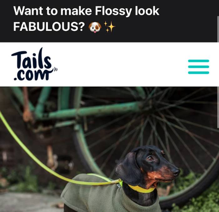 Personalised email to a dog owner by Tails, making use of the dog's first name.