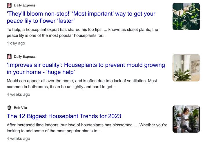 Screenshot of three houseplant news previews from Daily Express and Bob Vila, with thumbnails of a peace lily, a plant by a window and a person tending plants.
