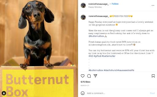 Screen shot of dog food advert from Butternut box