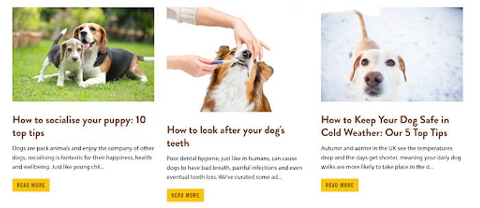 Screen shot of blogs looking at FAQs around dog ownership