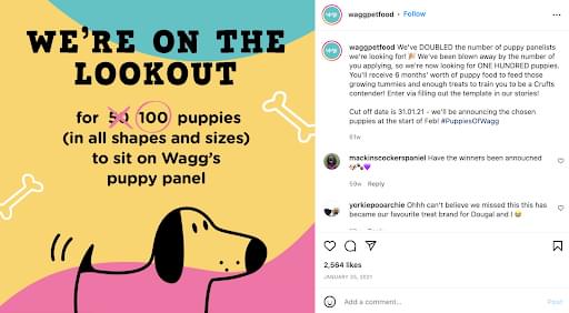 Social post looking for Wagg's next doggy influencer