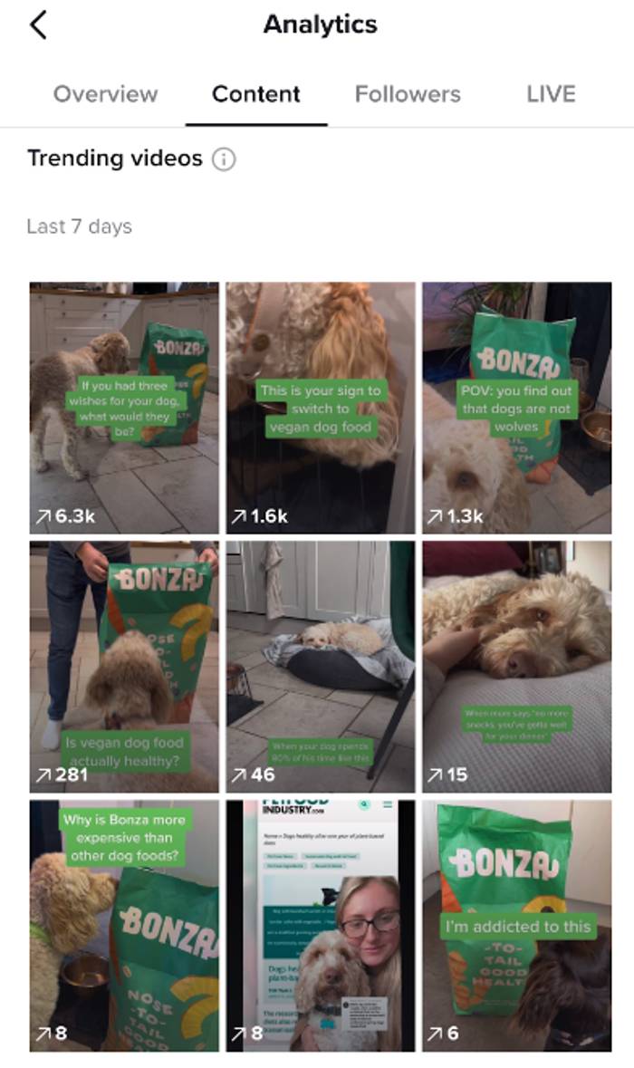 TikTok Analytics Content tab listing nine trending videos from the last 7 days, mostly dogs and Bonza vegan dog food, with view counts from 6.3k to 6.