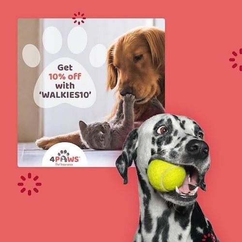 A social media advert for pet insurance company 4Paws, showing a dog holding a ball in its mouth, and another dog playing with a kitten.