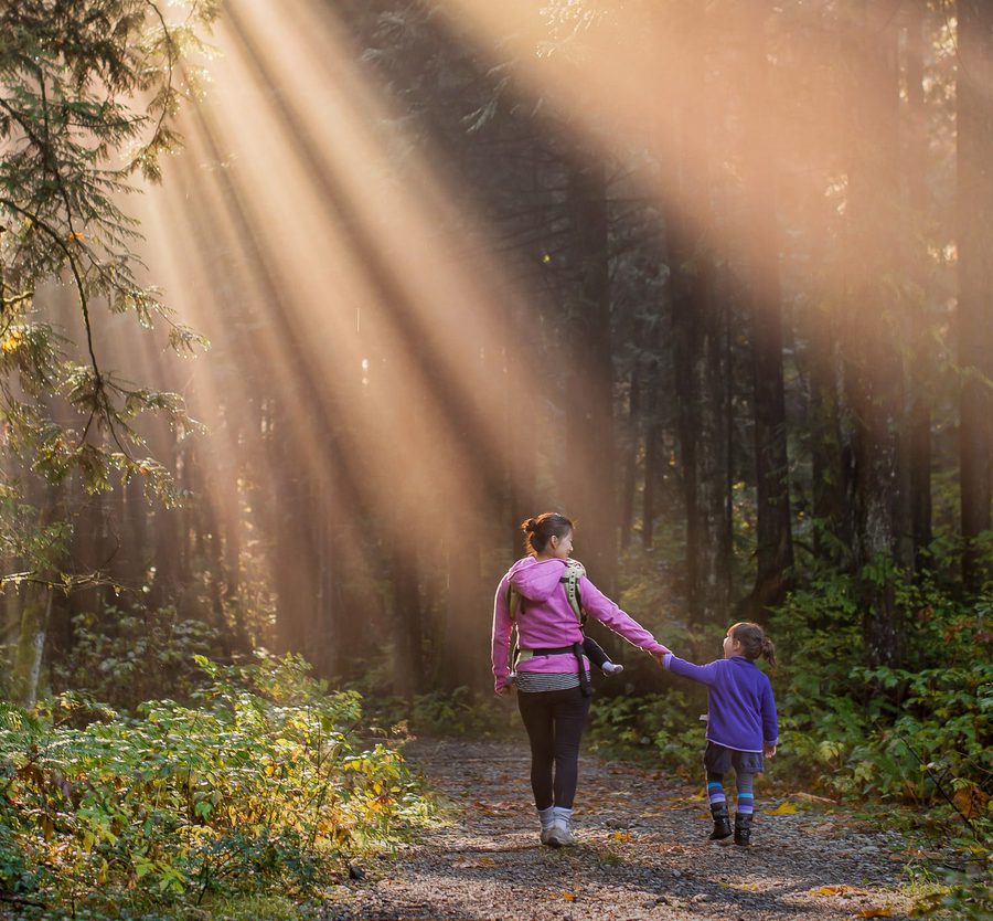 A woman and a child walking hand in hand on a forest trail with sunlight streaming through the trees overhead.