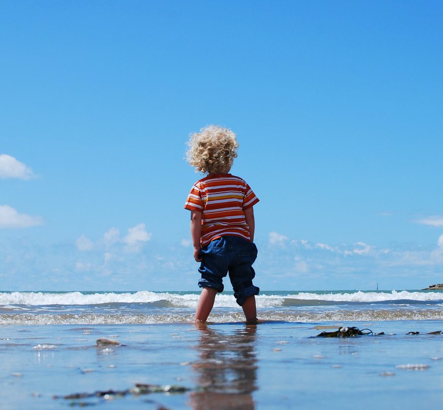A young child with curly blonde hair standing in shallow ocean water, facing away, on a sunny day with a blue sky and distant horizon.