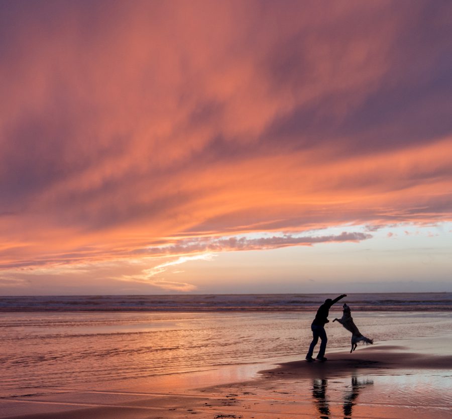 A person playing with a dog on a beach during sunset, with colourful clouds and reflections on the wet sand.