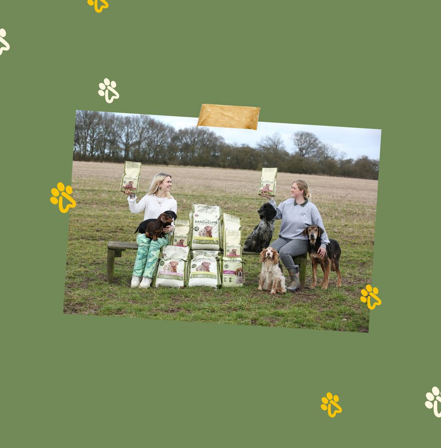 Two women with dogs sit on a bench outdoors with bags of dog food displayed in front, the background shows an open field and cloudy sky.