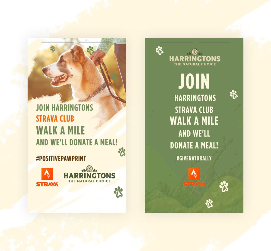 Flyers promoting a dog walk event with text, logos, and paw print graphics on a beige background. One flyer features a dog being walked outdoors.