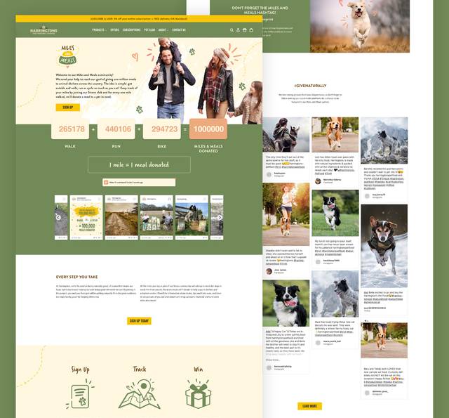 A happy dog running outdoors on a grassy field with a blurred background, with illustration elements and hearts surrounding it.