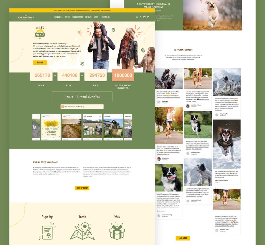 A happy dog running outdoors on a grassy field with a blurred background, with illustration elements and hearts surrounding it.