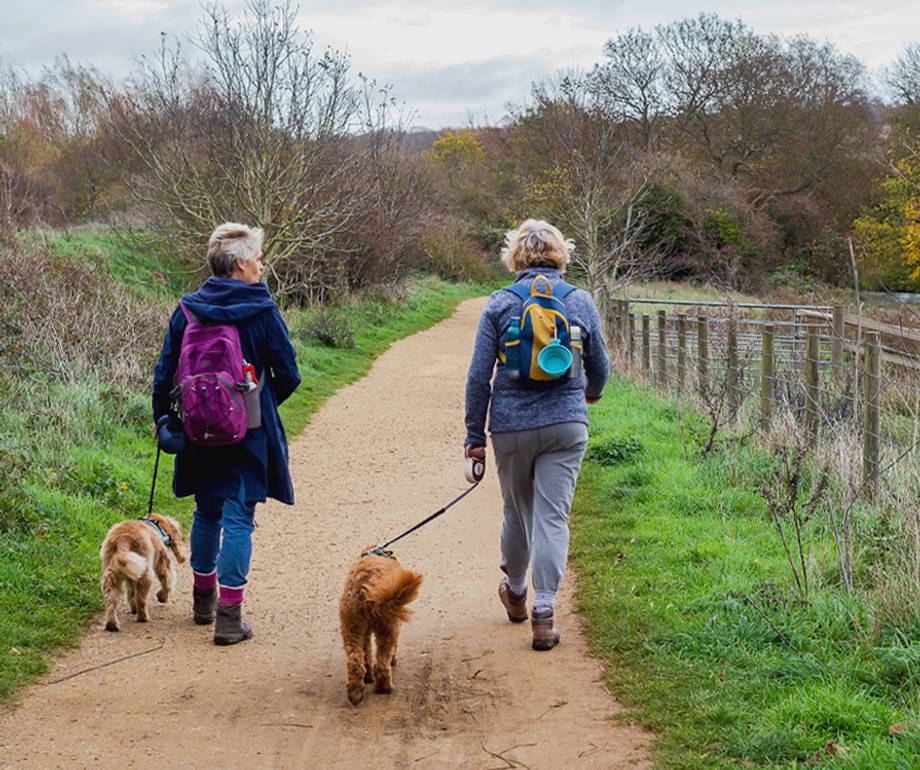 Two women walk their dogs along a rural dirt path surrounded by leafless trees and greenery under a cloudy sky.