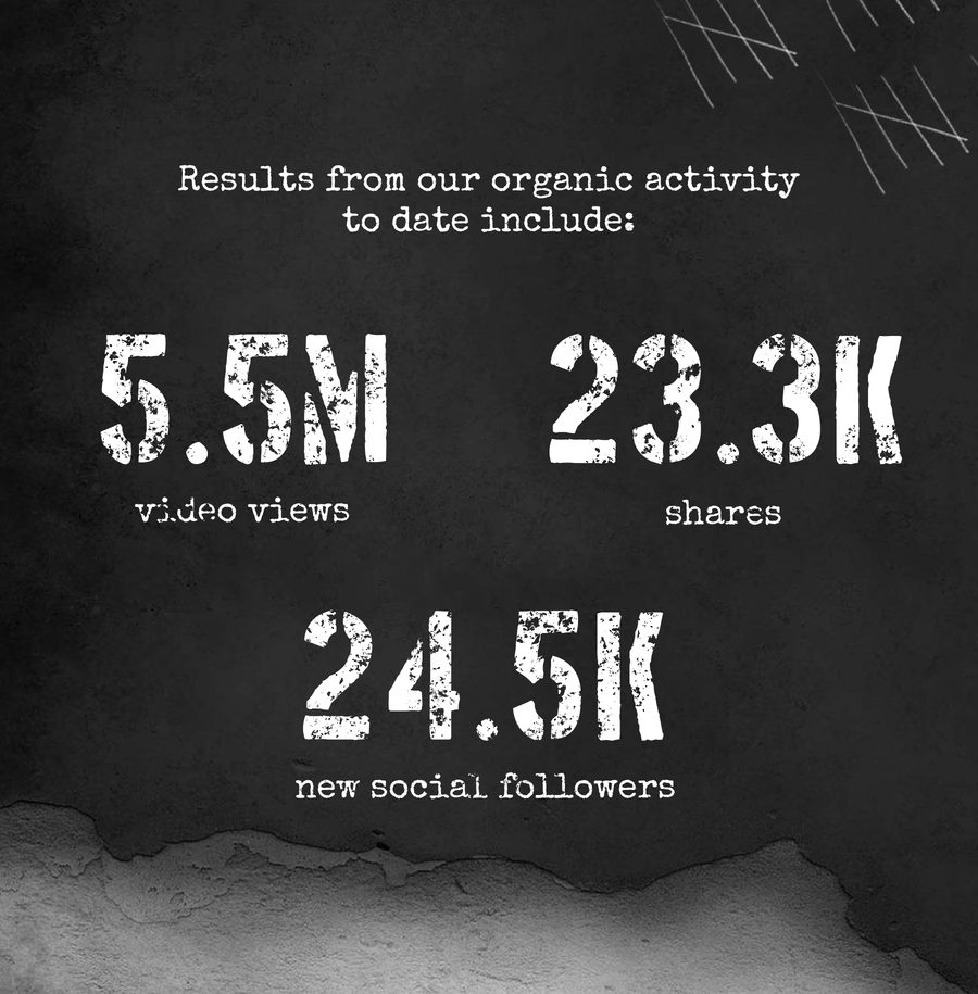 Social media report displaying video views, shares, and new followers on a chalkboard background with distressed font and minimalist design.