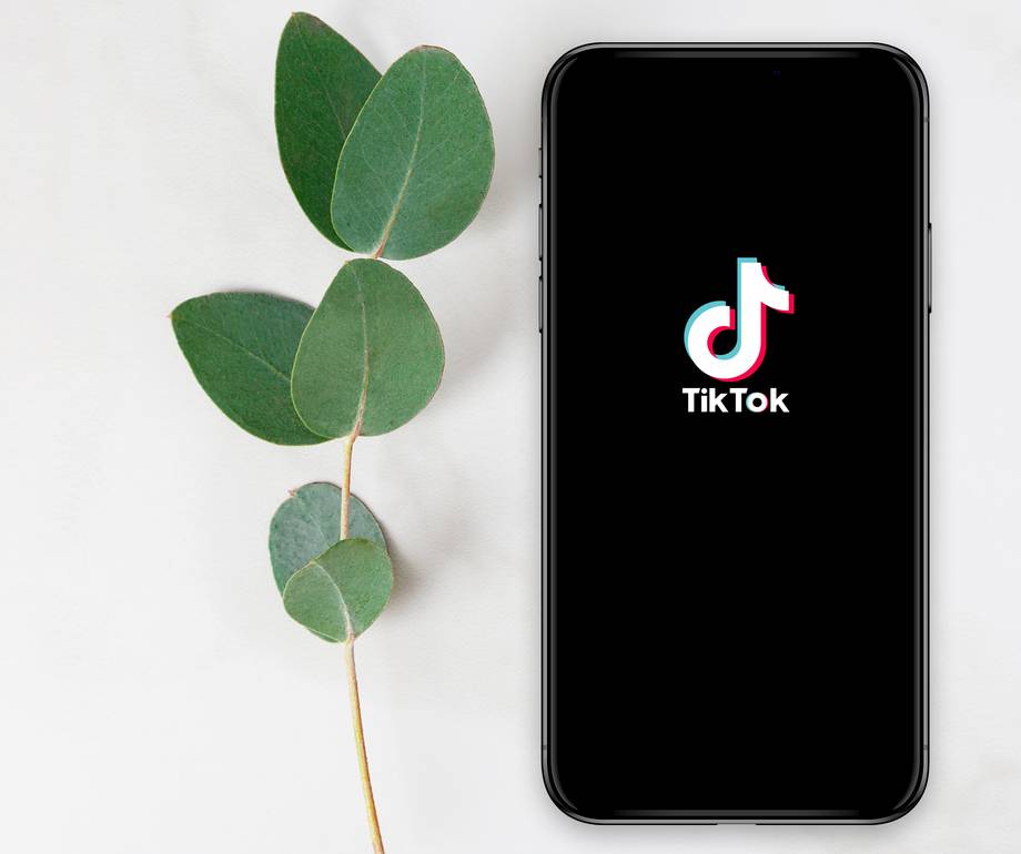 A smartphone displaying the TikTok logo on a black screen, placed next to a sprig of green eucalyptus leaves on a white surface.