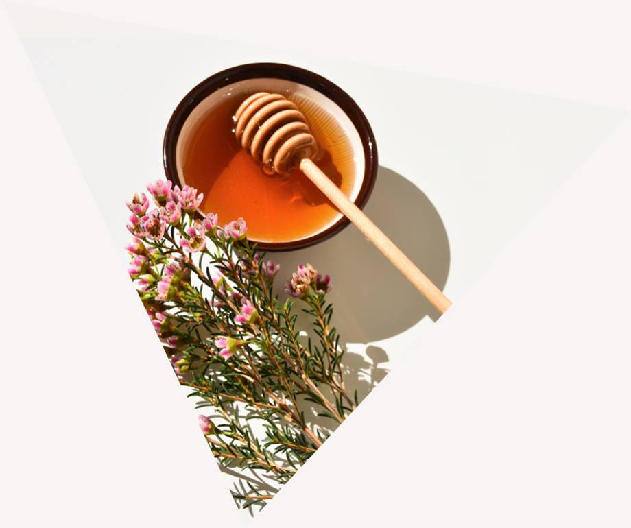 A bowl of honey with a honey dipper and pink flowers on a white background, casting a shadow in a geometric layout.