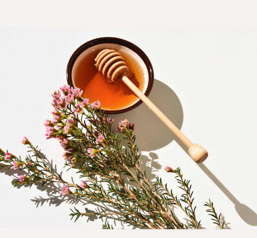 A small bowl of honey with a honey dipper resting inside, accompanied by a sprig of pink flowers on a light background with shadows cast.