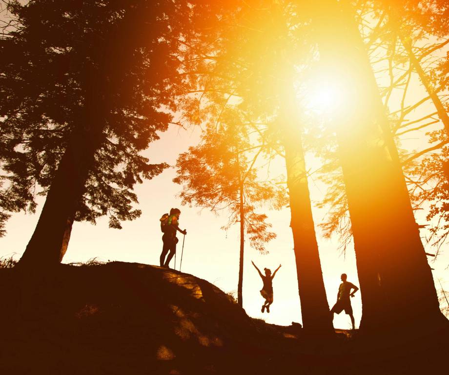 Three people in a forest during sunset, one is hiking with a backpack and poles, the other two are jumping between tall trees, with warm sunlight shining through.
