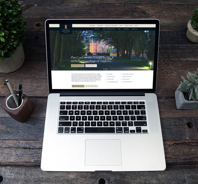 Open laptop displaying a website on a rustic wooden table, flanked by potted plants and a pen holder.