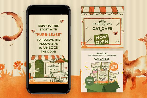 A smartphone displays a promotional message for Harringtons Cat Cafe, inviting replies with "PURR-LEASE" to receive an unlock password, with a store sign and product offers in the background.