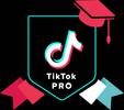 A black shield with the TikTok logo and text, surrounded by a red graduation cap and ribbons in red, white, and blue, symbolising achievement and social media.