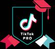 A black shield with the TikTok logo and text, surrounded by a red graduation cap and ribbons in red, white, and blue, symbolising achievement and social media.