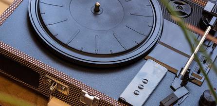 A vintage turntable with a wooden base, black platter, tonearm, and controls, placed on a wooden surface, with some plant leaves partially obscuring the view.