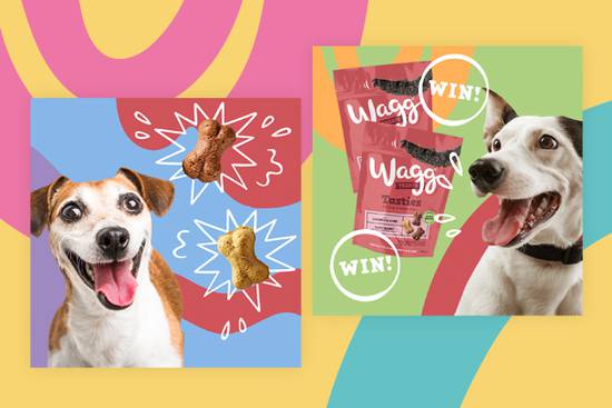 Two happy dogs pose next to dog treats and packaging with "WIN!" text, set against a colourful background with cartoon-style accents.